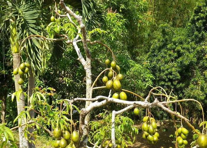 Havenridge Eco Place Hotel Port of Spain